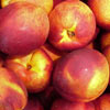 Fruit and Nuts/Nectarine Click for Fruit_and_Nuts/Nectarine