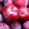Fruit and Nuts/Plum Click for Fruit_and_Nuts/Plum