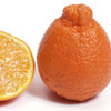 Fruit and Nuts/Tangelo Click for Fruit_and_Nuts/Tangelo