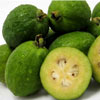 Fruit and Nuts/Feijoa Click for Fruit_and_Nuts/Feijoa