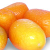 Fruit and Nuts/Kumquat Click for Fruit_and_Nuts/Kumquat
