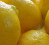 Fruit and Nuts/Lemon Click for Fruit_and_Nuts/Lemon