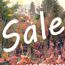 Click for Sale