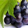 Fruit and Nuts/Grapes Click for Fruit_and_Nuts/Grapes