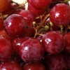 Click for Climbers_and_Vines/Grape