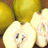 Fruit and Nuts/Other Fruit and Nuts Click for Fruit_and_Nuts/Other_Fruit_and_Nuts