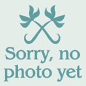Picture of Acer Red Filigree Lace H/W