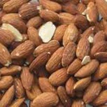 Picture of Almond Burbank GQ (174)