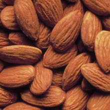 Picture of Almond Garden Prince Dwf GQ (177)