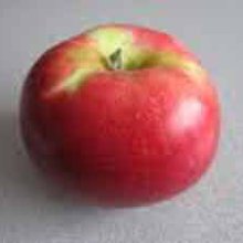 Picture of Apple Akane M26 (5976)