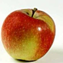 Apple Braeburn MM106 Picture of Apple Braeburn MM106 (6509)