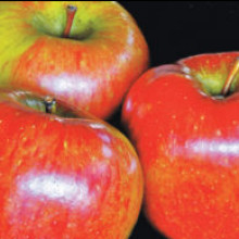 Apple Braeburn MM116 Picture of Apple Braeburn MM116 (28519)