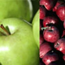 Apple Dble Red Delicious/Granny Smith Picture of Apple Dble Red Delicious/Granny Smith (270)
