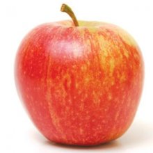Apple Dble Royal Gala/Granny Smith Picture of Apple Dble Royal Gala/Granny Smith (282)