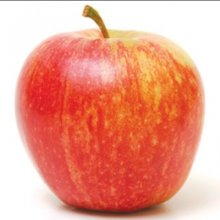Apple Dble Royal Gala/Harold Red Delicious Picture of Apple Dble Royal Gala/Harold Red Delicious (30555)