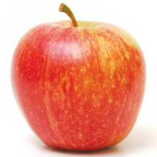 Apple Dble Royal Gala/Lady in Red Picture of Apple Dble Royal Gala/Lady in Red (30556)