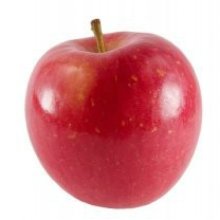 Apple Fuji Espalier Picture of Apple Fuji Espalier (11866)