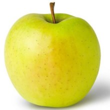 Apple Golden Delicious M26 Picture of Apple Golden Delicious M26 (11900)
