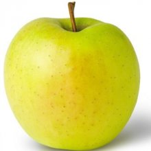 Apple Golden Delicious M9 Picture of Apple Golden Delicious M9 (6521)