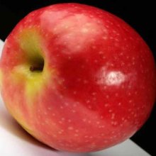 Apple Initial MM116 Picture of Apple Initial MM116 (5823)