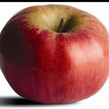 Apple Northern Spy MM116 Picture of Apple Northern Spy MM116 (30934)