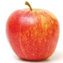 Apple Royal Gala MM116 Picture of Apple Royal Gala MM116 (6584)
