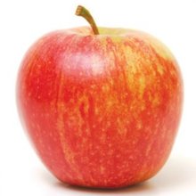 Apple Royal Gala M26 Picture of Apple Royal Gala M26 (6582)