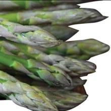 Picture of Asparagus Pacific Challenger Pkt of 5 (11938)