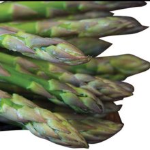 Picture of Asparagus Pacific Endeavour Pkt of 5 (11937)