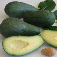 Picture of Avocado Fuerte (8757)
