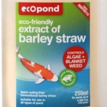 Barley Straw Extract Picture of Barley Straw Extract (28852)