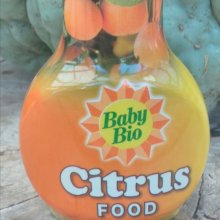 Bio Citrus Food Picture of Bio Citrus Food (28592)