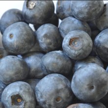 Blueberry Sapphire Blue RE Picture of Blueberry Sapphire Blue RE (30304)