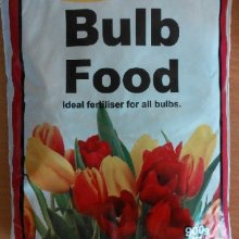 Picture of Bulb Food 900g (7508)