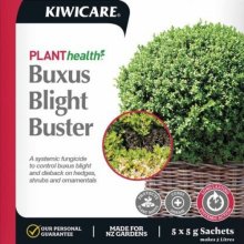 Buxus Blight Buster Picture of Buxus Blight Buster (11042)