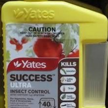 Chem Success Ultra Insecticide 200ml Picture of Chem Success Ultra Insecticide 200ml (11023)