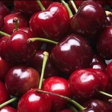 Picture of Cherry Bing CT (9590)