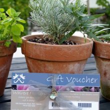 eVoucher Voucher Picture of eVoucher Voucher (11302)
