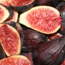 Picture of Fig Brunoro Black (1973)