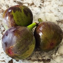 Picture of Fig French Sugar (1974)