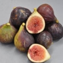 Picture of Fig Malta (29546)