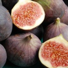 Fig Sweet Black Picture of Fig Sweet Black (6386)