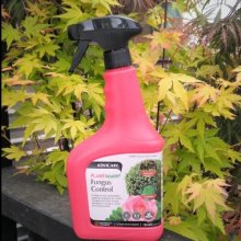 Picture of Fungus Control RTU 750ml (29163)