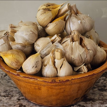 Picture of Garlic Elephant (6620)