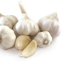 Picture of Garlic Printanor (5789)