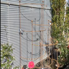 Picture of Half Moon Plant Support (30786)