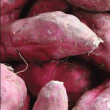 Kumara Owairaka Red Picture of Kumara Owairaka Red (7546)