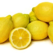 Lemon Eureka Picture of Lemon Eureka (3019)