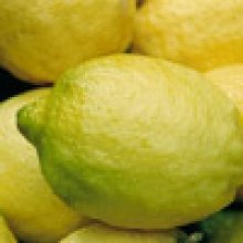 Lemon Genoa Picture of Lemon Genoa (3021)