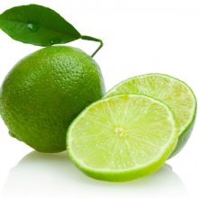 Picture of Lime Key Lime  (3148)